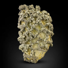 Marcasite Crystals on Lemonite Matrix