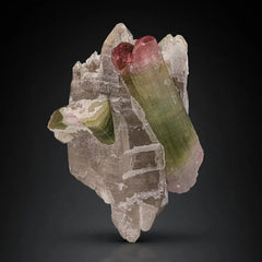 Bi Color Tourmaline with Smoky Quartz