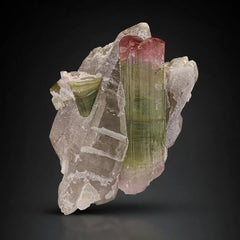 Bi Color Tourmaline with Smoky Quartz