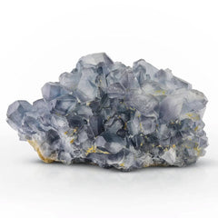 Celestite Crystal Cluster with Luster