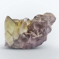 Calcite Crystals on Purple Fluorite