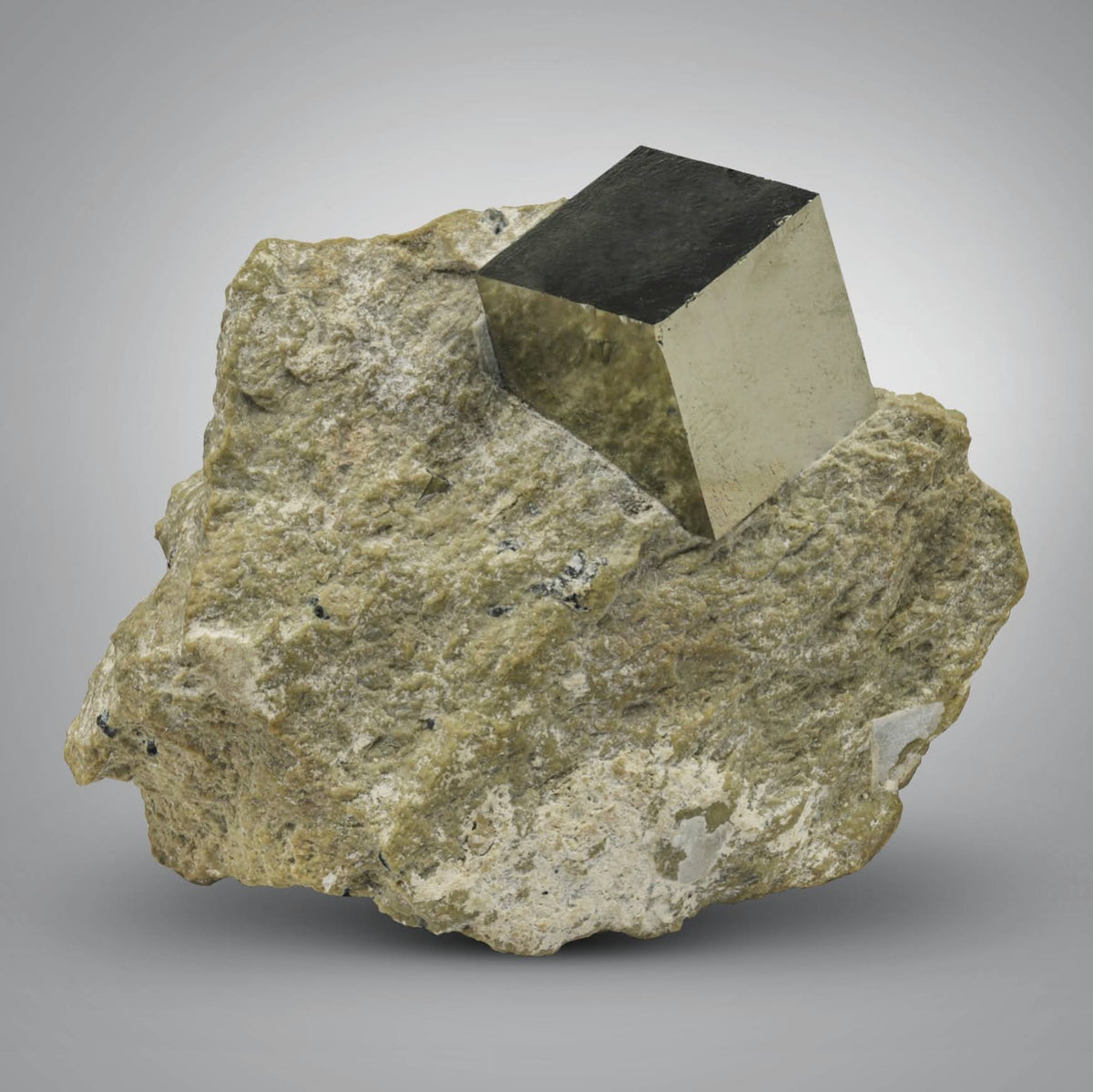 Golden Pyrite Crystal on Marl Matrix