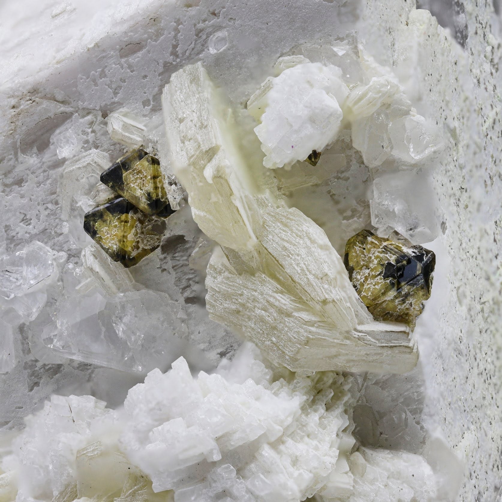 Microlite on Microcline with Muscovite