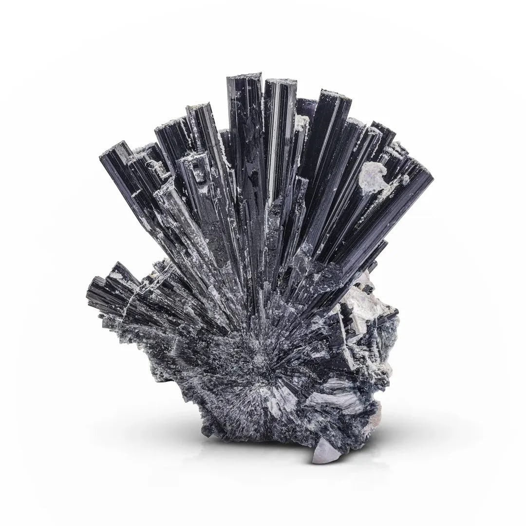 Robust Tourmaline Cluster on Albite