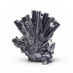 Robust Tourmaline Cluster on Albite