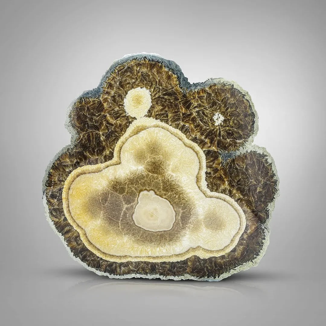 Polished Barite with Marcasite