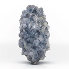 Celestite Crystal Cluster with Luster