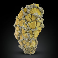 Pyrite Crystals on Lemonite Matrix