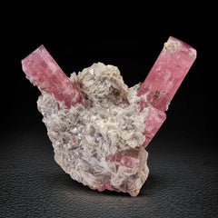 Pink Tourmaline Crystals on Muscovite