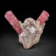 Pink Tourmaline Crystals on Muscovite