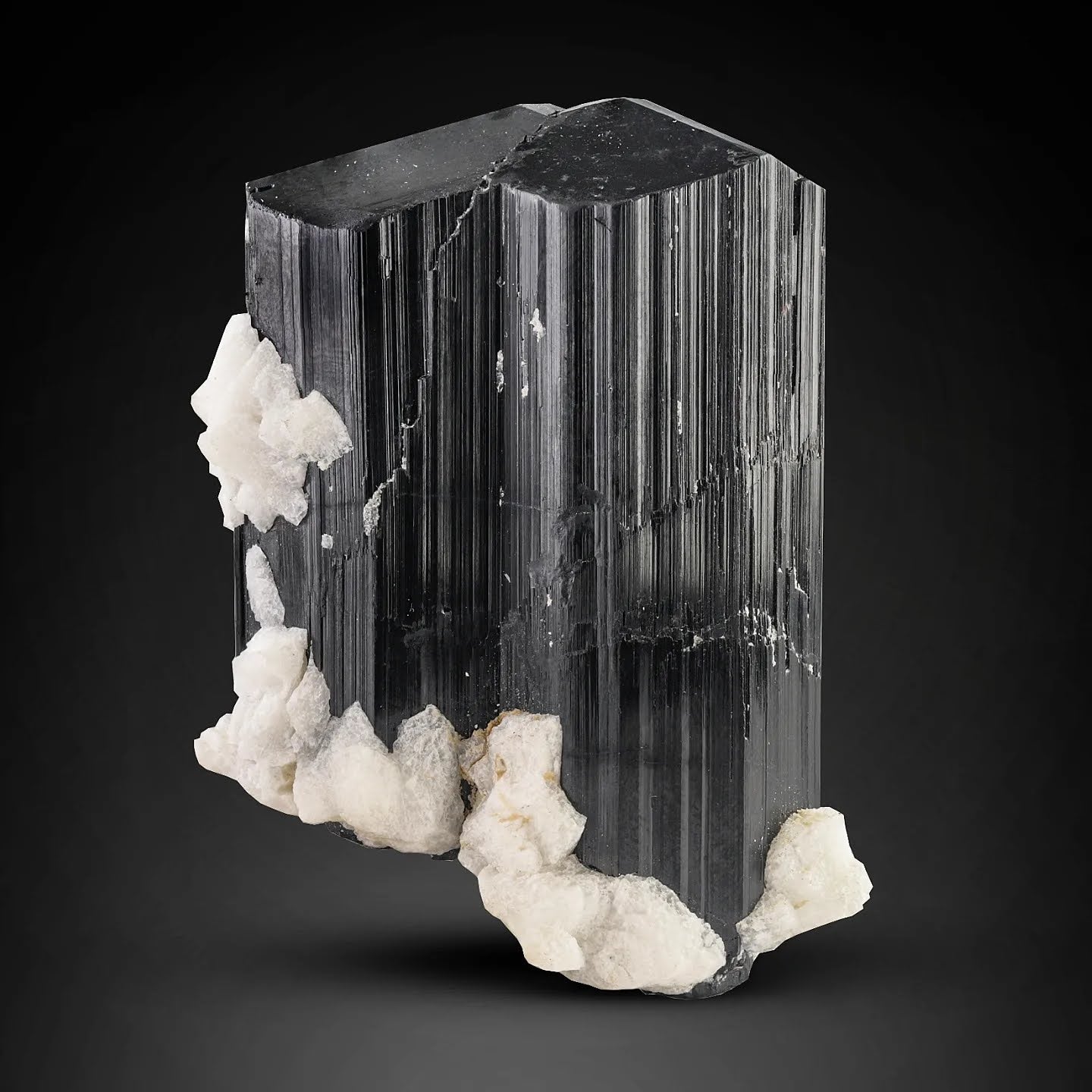 Schorl Tourmaline Crystals with Albite