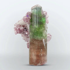 Bi Color Tourmaline with Lepidolite