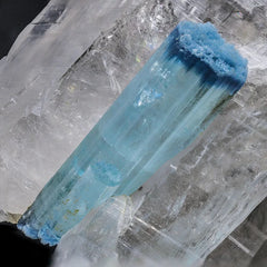 Aquamarine Crystal on Pointed Quartz