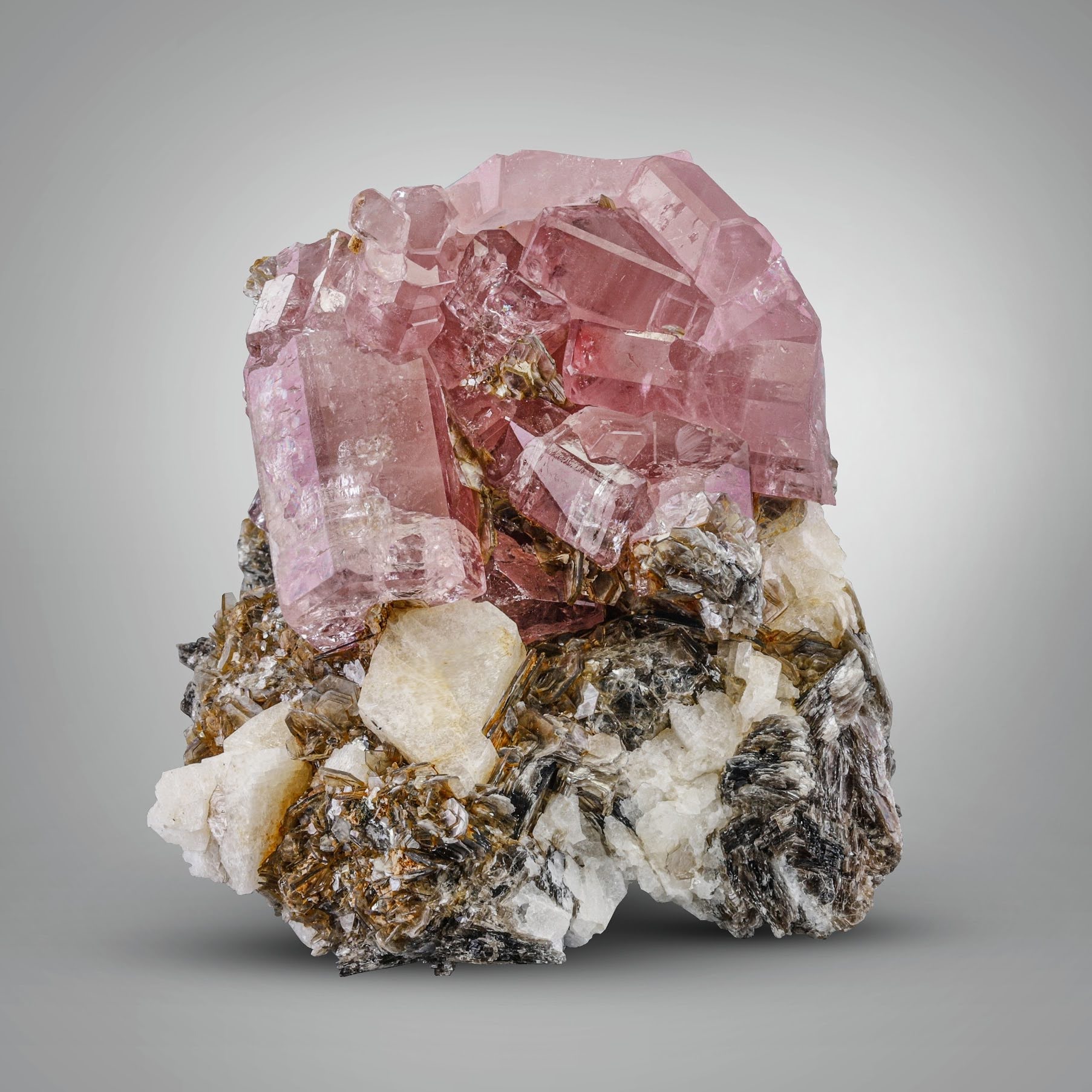 Fluoroapatite Crystal with Muscovite