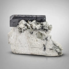 Tantalite on Feldspar with Tourmaline