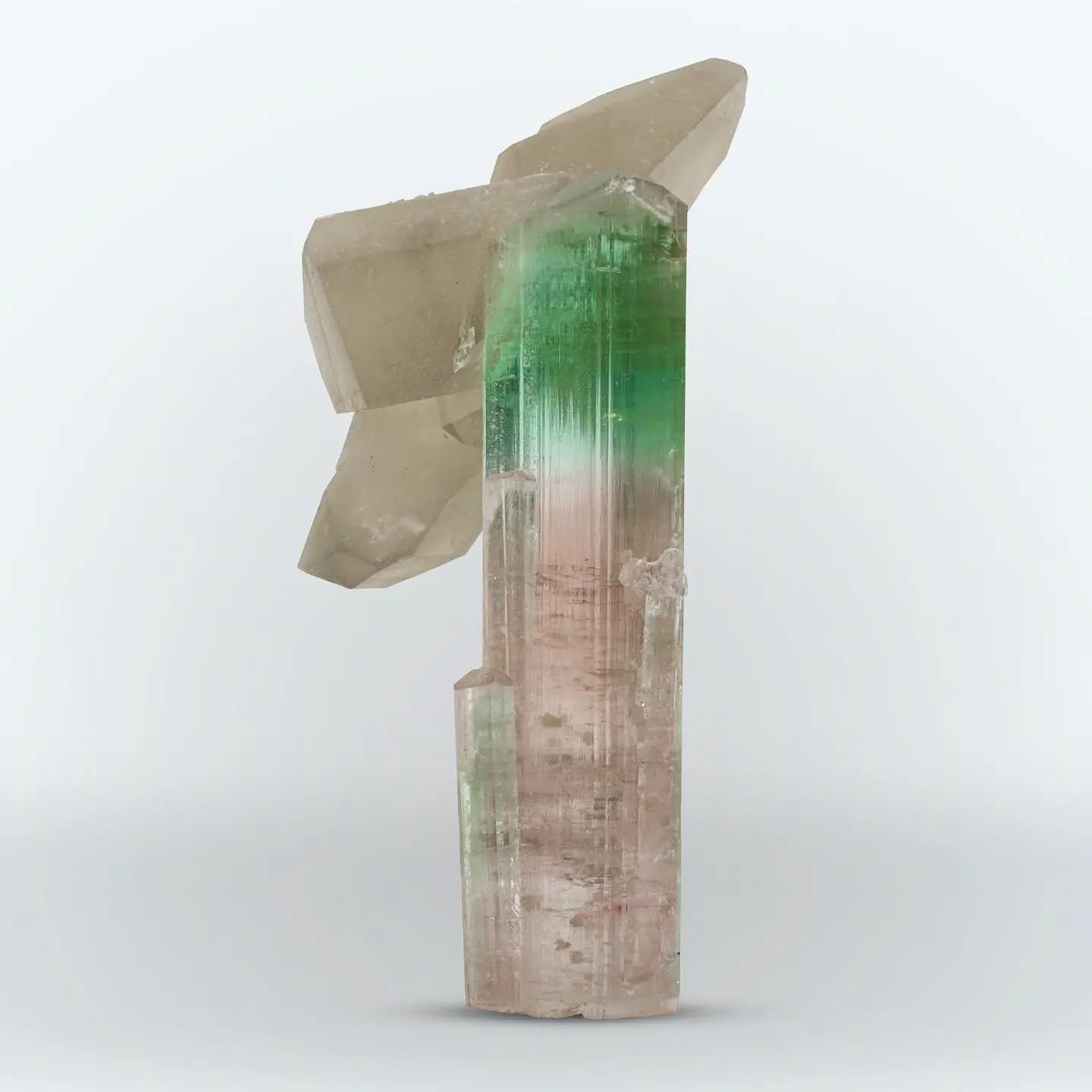 Bi Color Tourmaline with Smoky Quartz