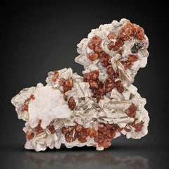 Garnet Crystals on Muscovite & Schrol