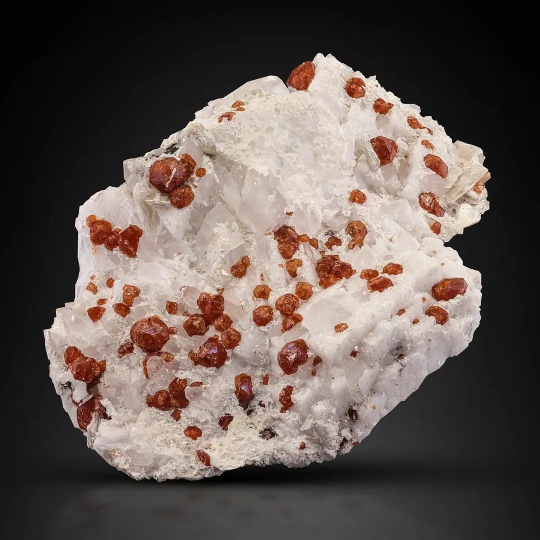 Red Garnet Crystals on White Albite 