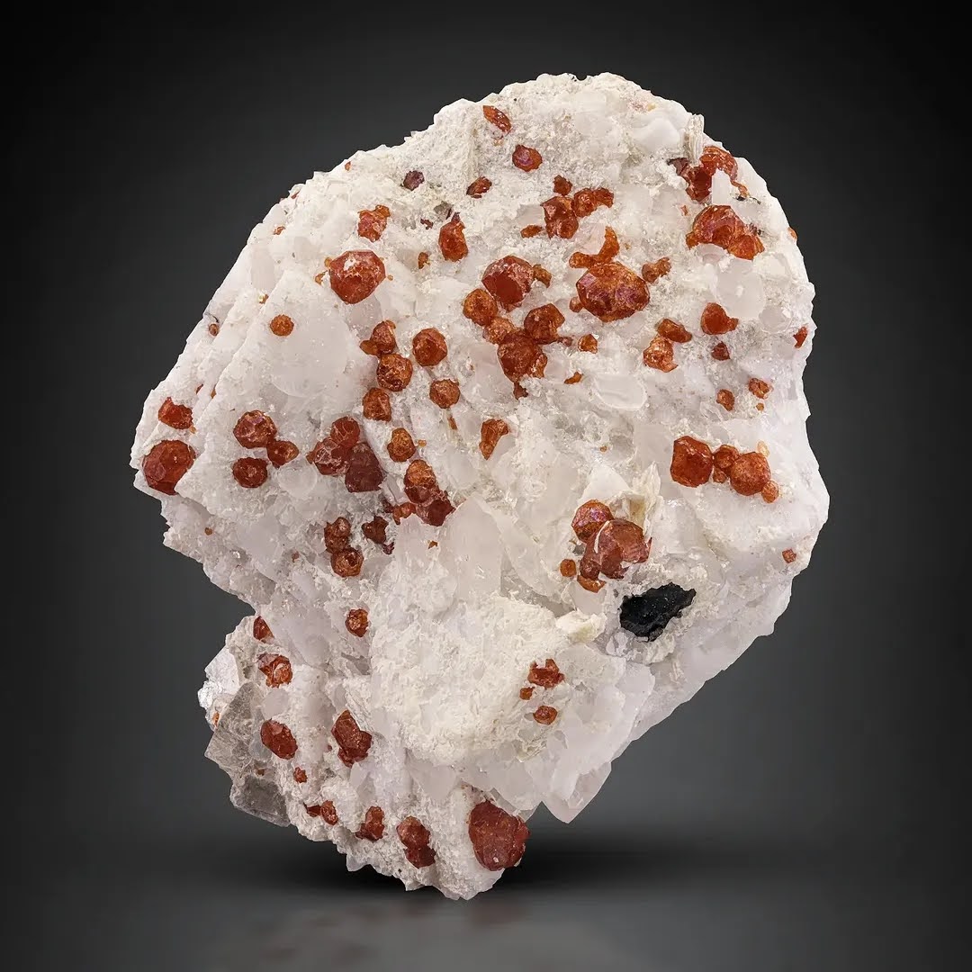 Red Garnet Crystals on White Albite 