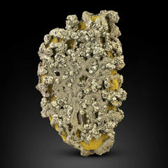 Marcasite Crystals on Lemonite Matrix