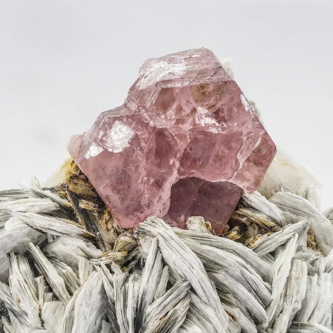 Pinkish Apatite Tabular on Muscovite