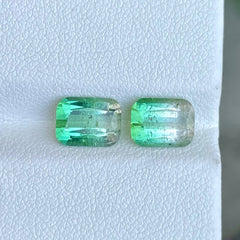 3.79 Carats Bi Color Tourmaline Pair