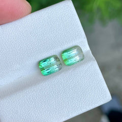 3.79 Carats Bi Color Tourmaline Pair