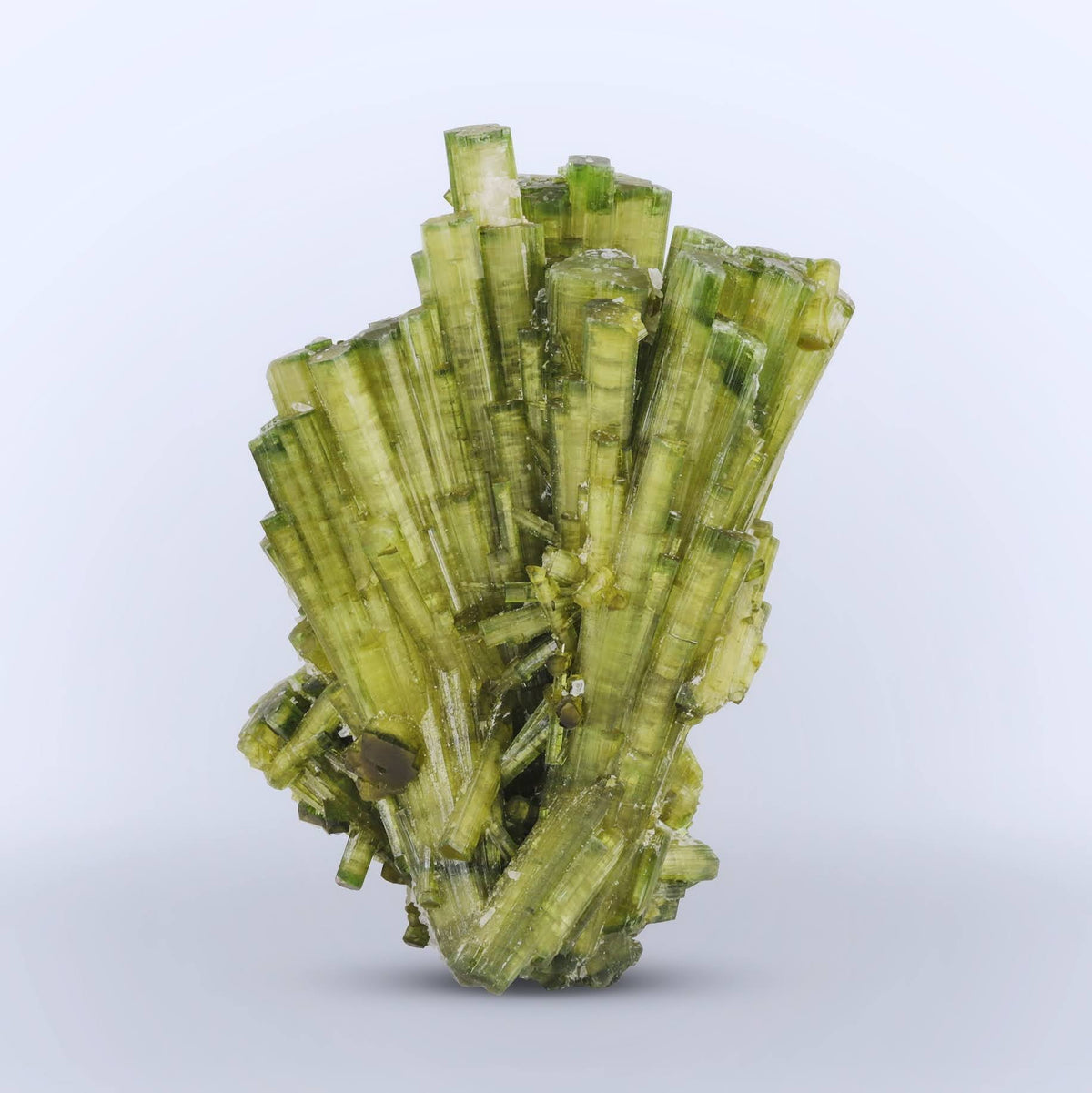 Double Terminated Tourmaline Crystals