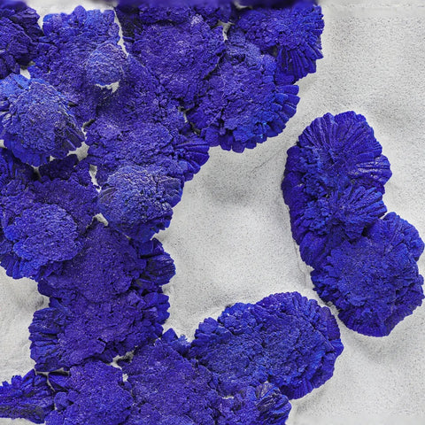 Large cabinet azure blue Azurite sun crystals on Kaolinite matrix from Australia