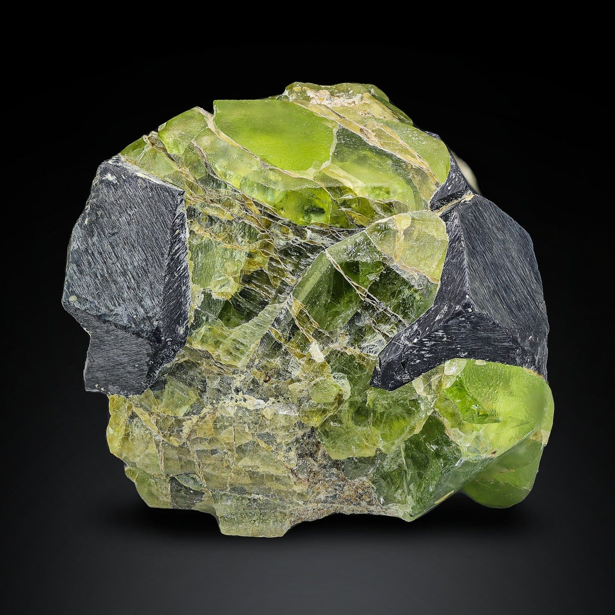 Rare Magnetite Crystals On Peridot