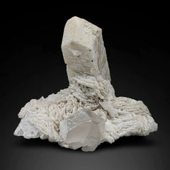 Microcline Crystal with Rare Microlite