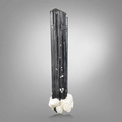 Attractive Elongated Black Tourmaline Crystal On Snowy White Albite