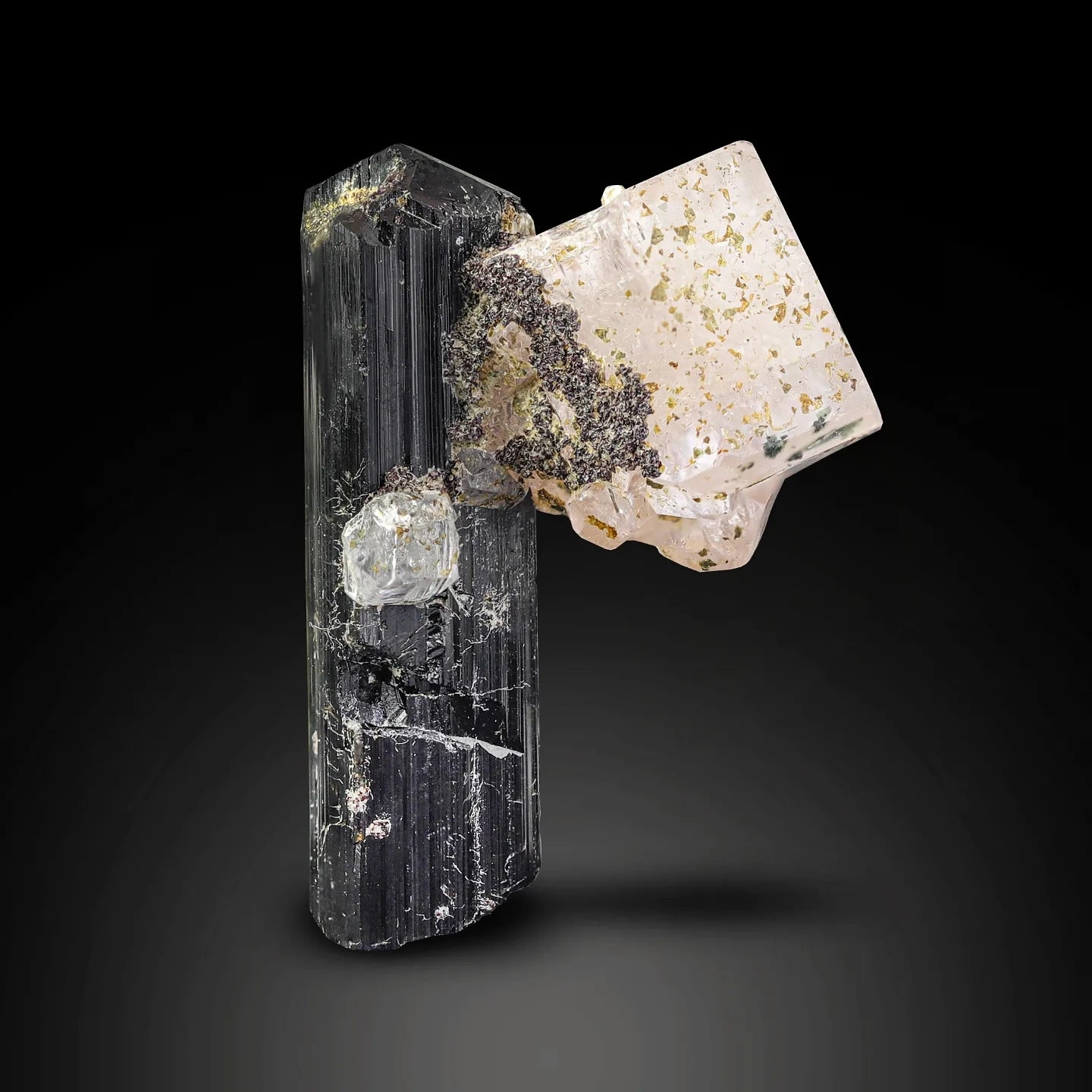Gorgeous Pink Apatite Crystal Perched on Schorl Black Tourmaline from Pakistan