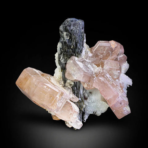 Sophisticated Pink Tabular Pink UV Apatite on Schorl with Albite from Pakistan