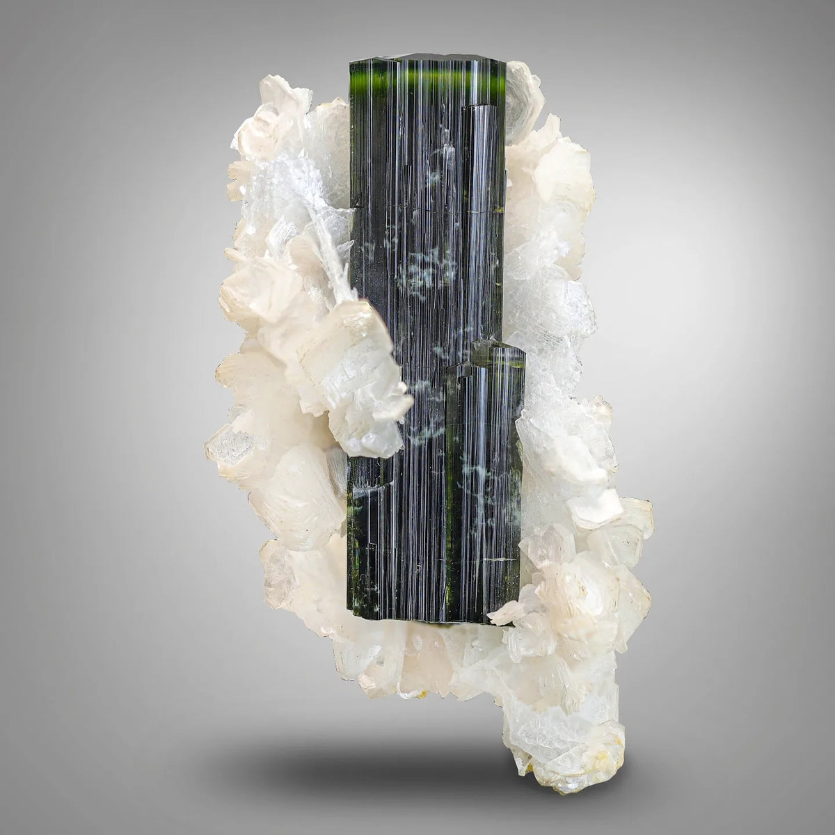 Buy Lustrous Green Cap Tourmaline on Albite with Muscovite