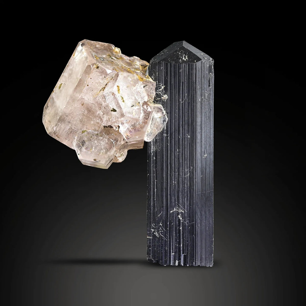 Gorgeous Pink Apatite Crystal Perched on Schorl Black Tourmaline from Pakistan