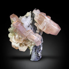 Sophisticated Pink Tabular Pink UV Apatite on Schorl with Albite from Pakistan