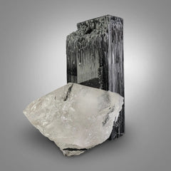 Triangle Shape Terminated Schorl on Smoky Quartz with Matrix from Pakistan