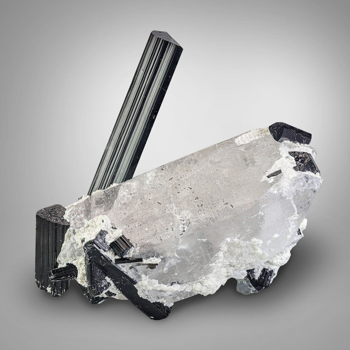 Schorl Black Tourmaline Crystal on Quartz