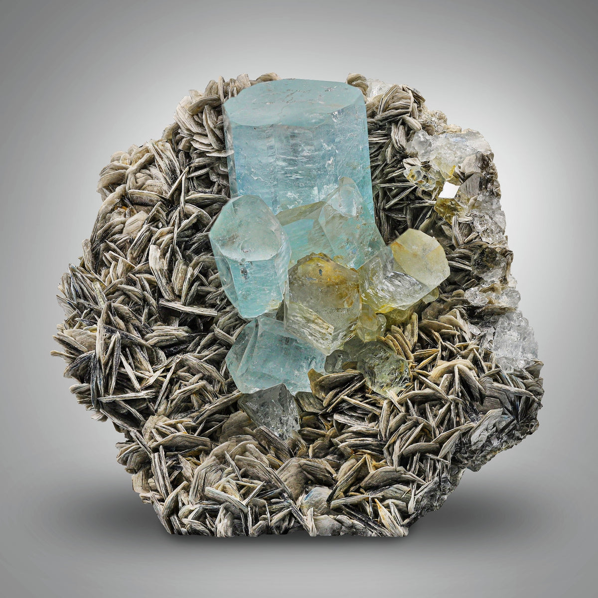Unique Gem Specimen Aquamarine Crystal Cluster on Muscovite Matrix from Pakistan