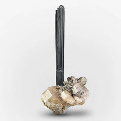 Schorl Black Tourmaline on Apatite