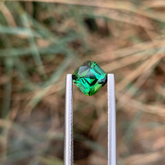 Mesmerizing Greenish Blue Tourmaline 1.55 carats Cushion Cut Natural Afghani Gemstone