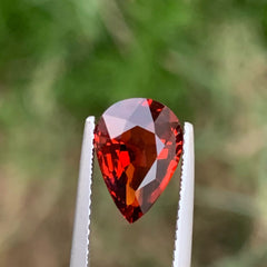 Garnet Gems for Purchase 3.10 carats Pear Cut Loose Gemstone from Tanzania