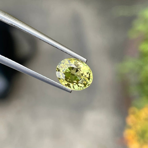 Glamorous Yellow Chrysoberyl 1.65 carats Oval Shape Natural Sri Lankan Gemstone