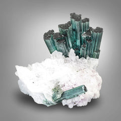 Robust Indicolite Blue Tourmaline crystal cluster on white Albite matrix from Kunnar, Afghanistan