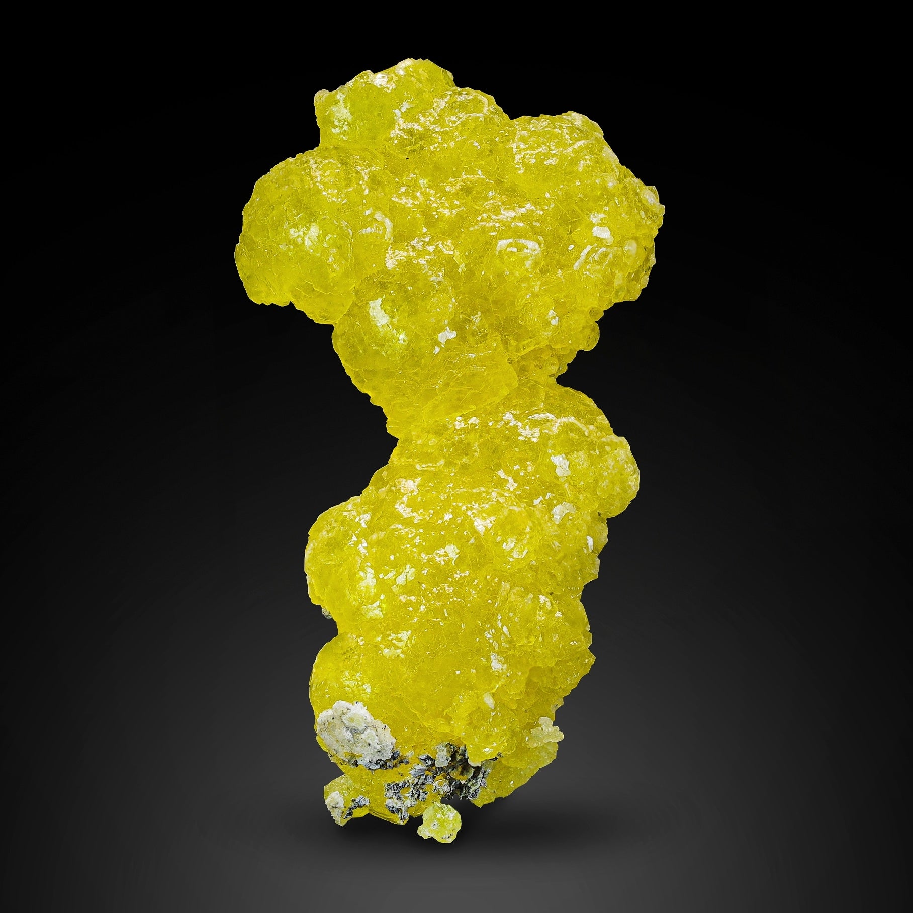 Rare Lustrous Lemon-Yellow Botryoidal Brucite Crystal from Pakistan
