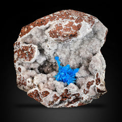 Neon Blue Pantagonite Crystal Cluster On Geode Quartz Matrix