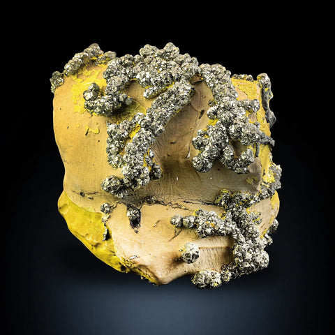 Artistically Formed Golden color Pyrite Crystals on Limonite Matrix from Afghanistan