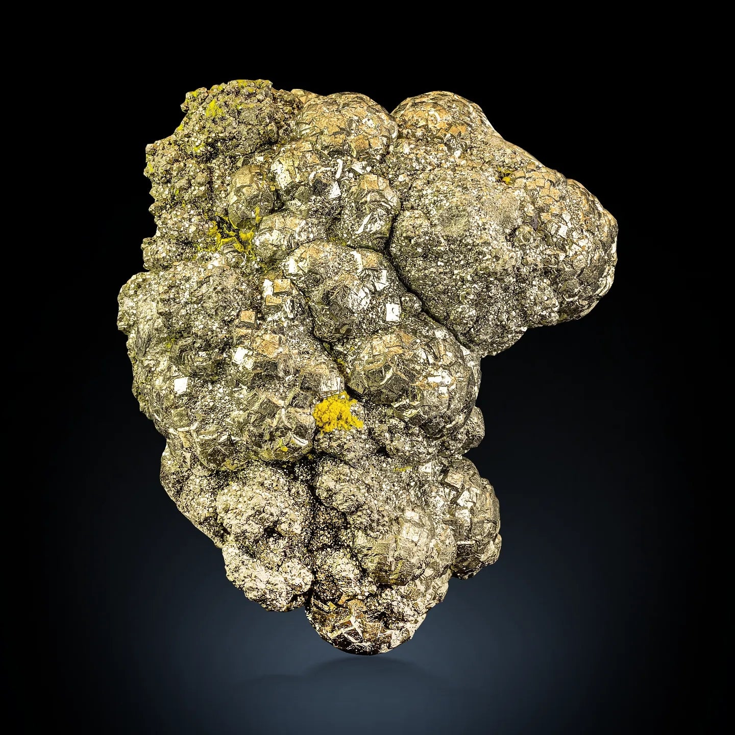 Attractive Botryoidal Aggregate of Golden color Pyrite from Afghanistan