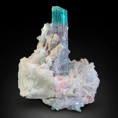 Aristocratic Bicolor Tourmaline Crystal with Indicolite Blue and Rubelite colors from Afghanistan